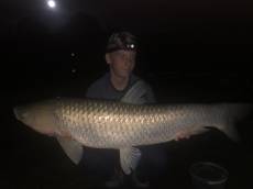 50cm - květen 2020
